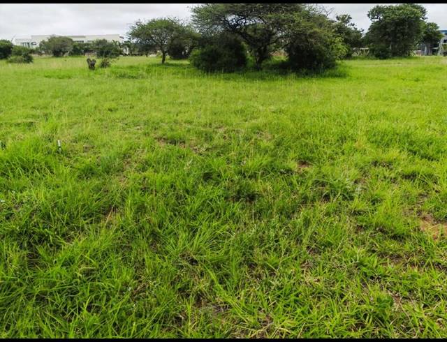 LAND FOR SALE IN THE ALOES LIFESTYLE ESTATE